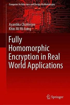 Fully homomorphic encryption in real world applications /