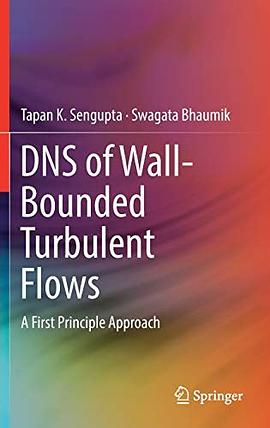 DNS of wall-bounded turbulent flows : a first principle approach /