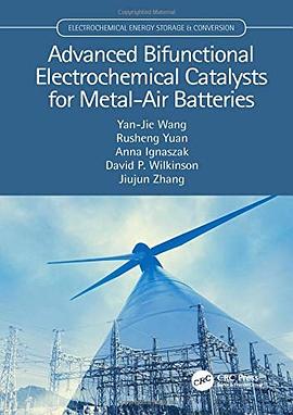 Advanced bifunctional electrochemical catalysts for metal-air batteries /