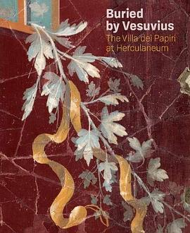 Buried by Vesuvius : the Villa dei Papiri at Herculaneum /