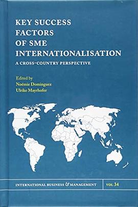 Key success factors of SME internationalisation : a cross-country perspective /