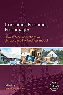 Consumer, prosumer, prosumager : how service innovations will disrupt the utility business model /