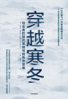 穿越寒冬 创业者的融资策略与独角兽思维 how entrepreneurs struggle, fail& fight their way to the top