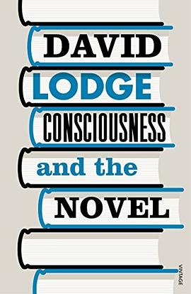 Consciousness and the novel : connected essays /