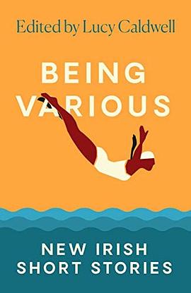 Being various : new Irish short stories /