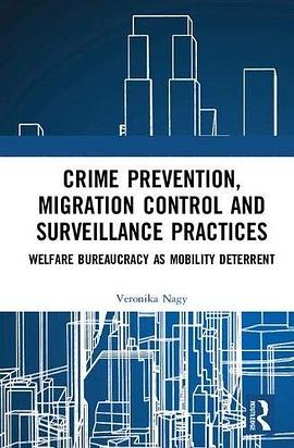 Crime prevention, migration control and surveillance practices : welfare bureaucracy as mobility deterrent /