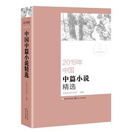 2019年中国中篇小说精选