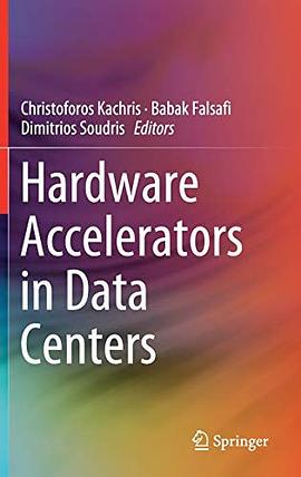 Hardware accelerators in data centers /