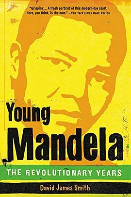 Young Mandela : the revolutionary years /
