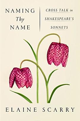 Naming thy name : cross talk in Shakespeare's sonnets /