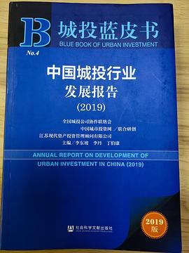 中国城投行业发展报告 2019 2019