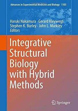 Integrative structural biology with hybrid methods /