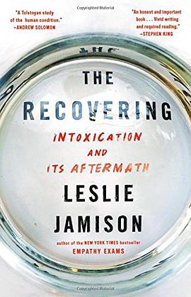 The recovering : intoxication and its aftermath /