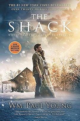 The shack : where tragedy confronts eternity : a novel /