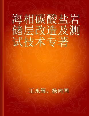 海相碳酸盐岩储层改造及测试技术