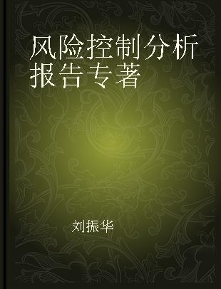 风险控制分析报告