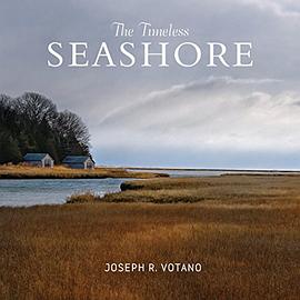 The timeless seashore /