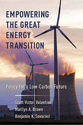 Empowering the great energy transition : policy for a low-carbon future /