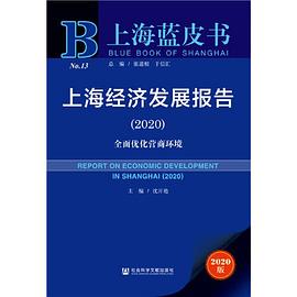 上海经济发展报告 2020 全面优化营商环境