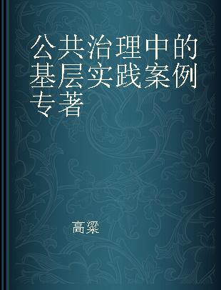 公共治理中的基层实践案例