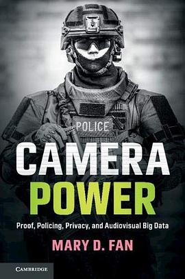 Camera power : proof, policing, privacy, and audiovisual big data /