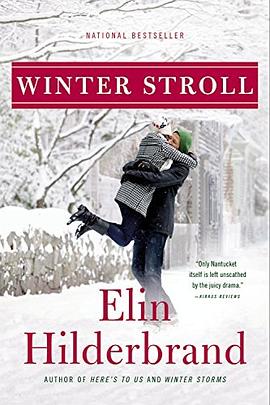 Winter stroll : a novel /
