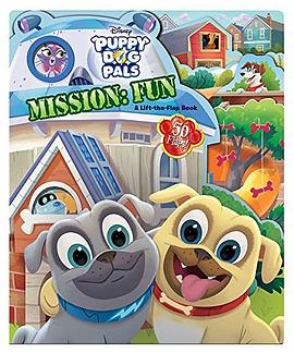 Mission : fun : a lift-the-flap book /