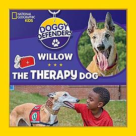 Willow the therapy dog /