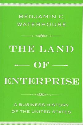 The land of enterprise : a business history of the United States /
