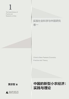 中国的新型小农经济 实践与理论 practice and theory