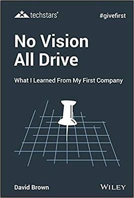No vision all drive : what I learned from my first company /