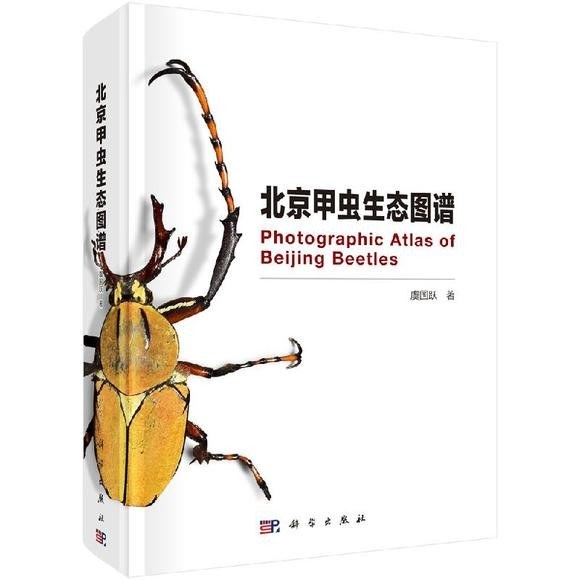 北京甲虫生态图谱