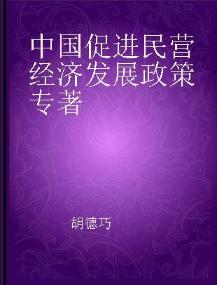 中国促进民营经济发展政策