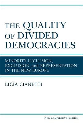 The quality of divided democracies : minority inclusion, exclusion, and representation in the new Europe /