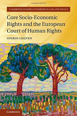 Core socio-economic rights and the European Court of Human Rights /