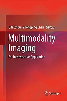 Multimodality imaging : for intravascular application /