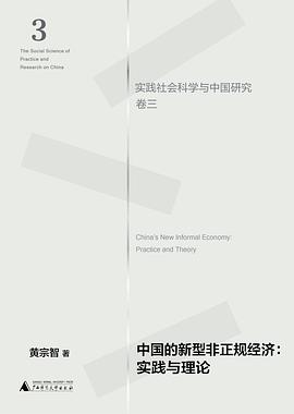 中国的新型非正规经济 实践与理论 practice and theory