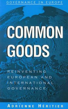 Common goods : reinventing European and international governance /