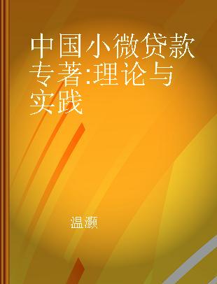 中国小微贷款 理论与实践 theory and practice