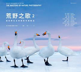 荒野之歌 国际野生生物摄影年赛精选 2 the masters of nature photography Volume two