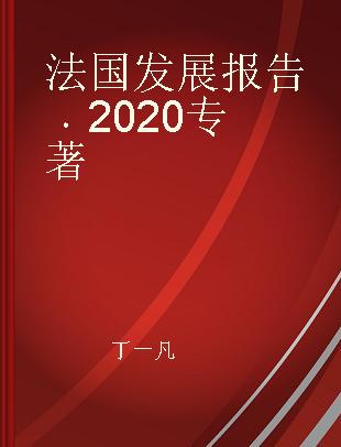 法国发展报告 2020 2020