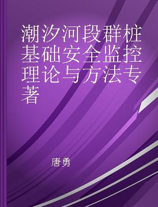 潮汐河段群桩基础安全监控理论与方法