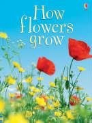 How flowers grow /