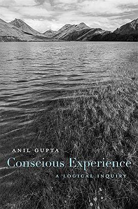 Conscious experience : a logical inquiry /