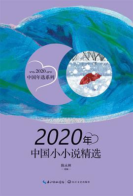 2020年中国小小说精选