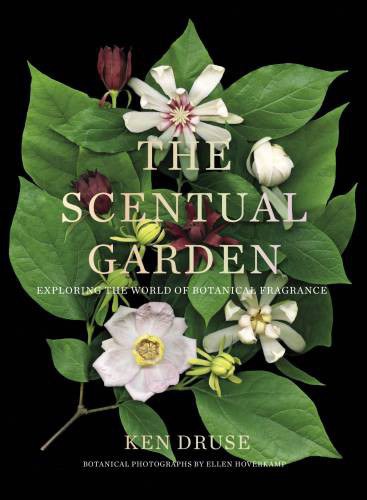 The scentual garden : exploring the world of botanical fragrance /