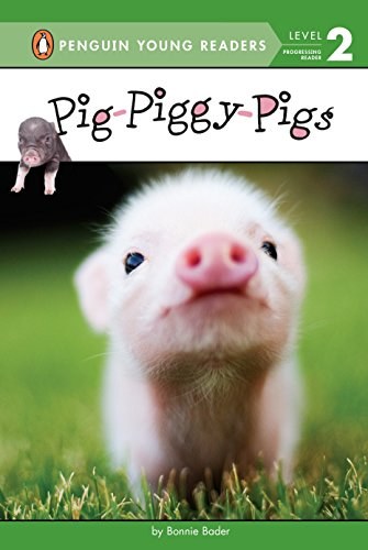 Pig-piggy-pigs /