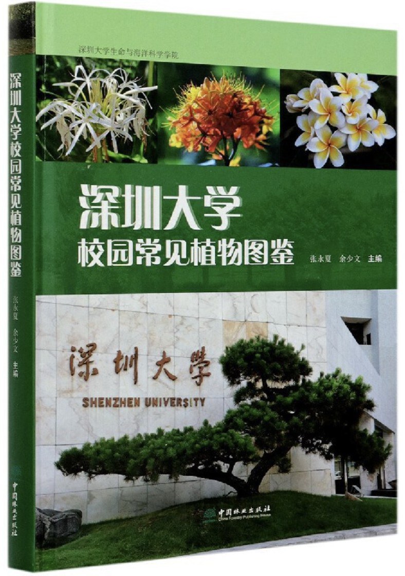 深圳大学校园常见植物图鉴