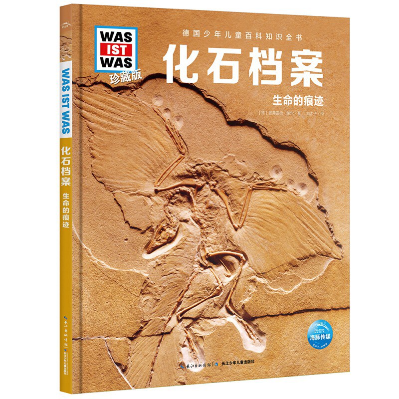化石档案 生命的痕迹