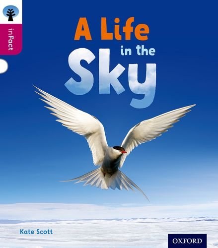 A life in the sky /
